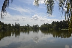 Lago de Tesoro, Krokodilfarm_13