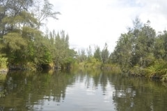 Lago de Tesoro, Krokodilfarm_30
