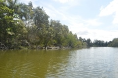 Lago de Tesoro, Krokodilfarm_9