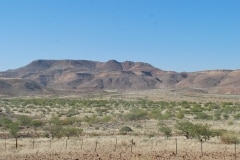 Felsenbilder in Twyfelfontein_12