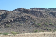 Felsenbilder in Twyfelfontein_16