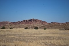 Felsenbilder in Twyfelfontein_23