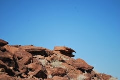 Felsenbilder in Twyfelfontein_28