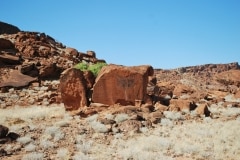 Felsenbilder in Twyfelfontein_33