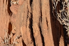 Felsenbilder in Twyfelfontein_35