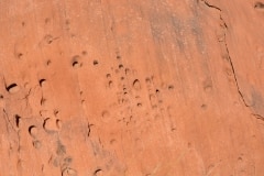 Felsenbilder in Twyfelfontein_42
