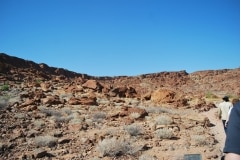 Felsenbilder in Twyfelfontein_48