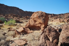 Felsenbilder in Twyfelfontein_52