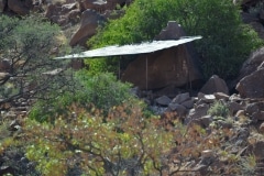 Felsenbilder in Twyfelfontein_58