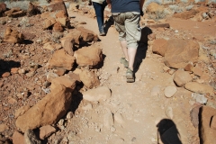 Felsenbilder in Twyfelfontein_62
