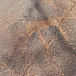 Felsenbilder in Twyfelfontein_64