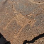 Felsenbilder in Twyfelfontein_76