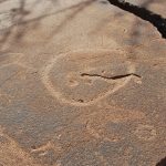 Felsenbilder in Twyfelfontein_77
