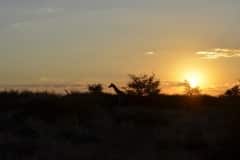 Namibia 2012_265