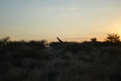 Namibia 2012_273