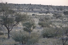 Namibia 2012_275