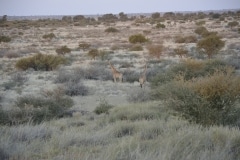 Namibia 2012_277