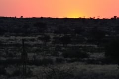 Namibia 2012_343