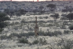 Namibia 2012_347