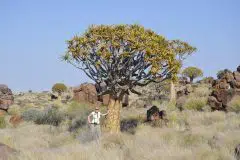 Namibia 2012_35