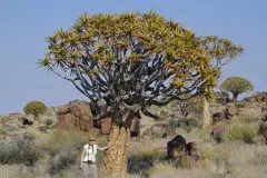 Namibia 2012_36