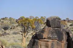 Namibia 2012_40