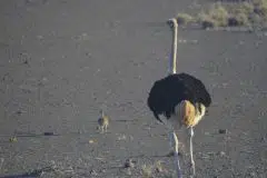Namibia 2012_4