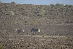 Namibia 2012_8