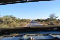 Jeepsafari und Bustour im Etosha Nationalpark_16