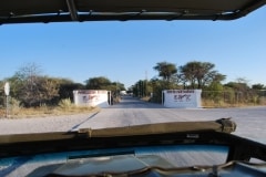 Jeepsafari und Bustour im Etosha Nationalpark_17