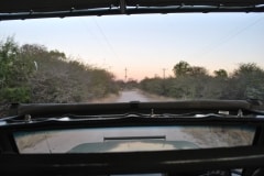 Jeepsafari und Bustour im Etosha Nationalpark_1