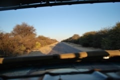 Jeepsafari und Bustour im Etosha Nationalpark_6