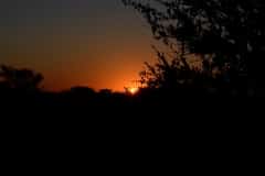 Sonnenaufgang im Etosha und Vingerklip_3