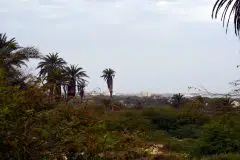 RIU Hotel Tuareg - Boa Vista, Kapverde_218