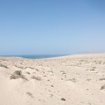 Fuerteventura im Frühling 2014_39