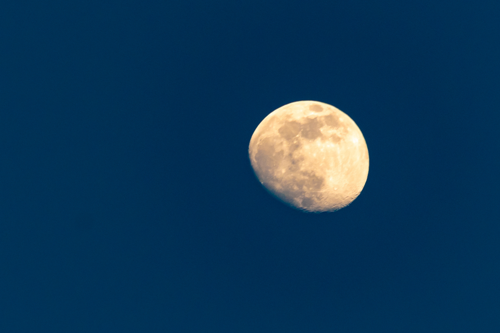 DSC_6661