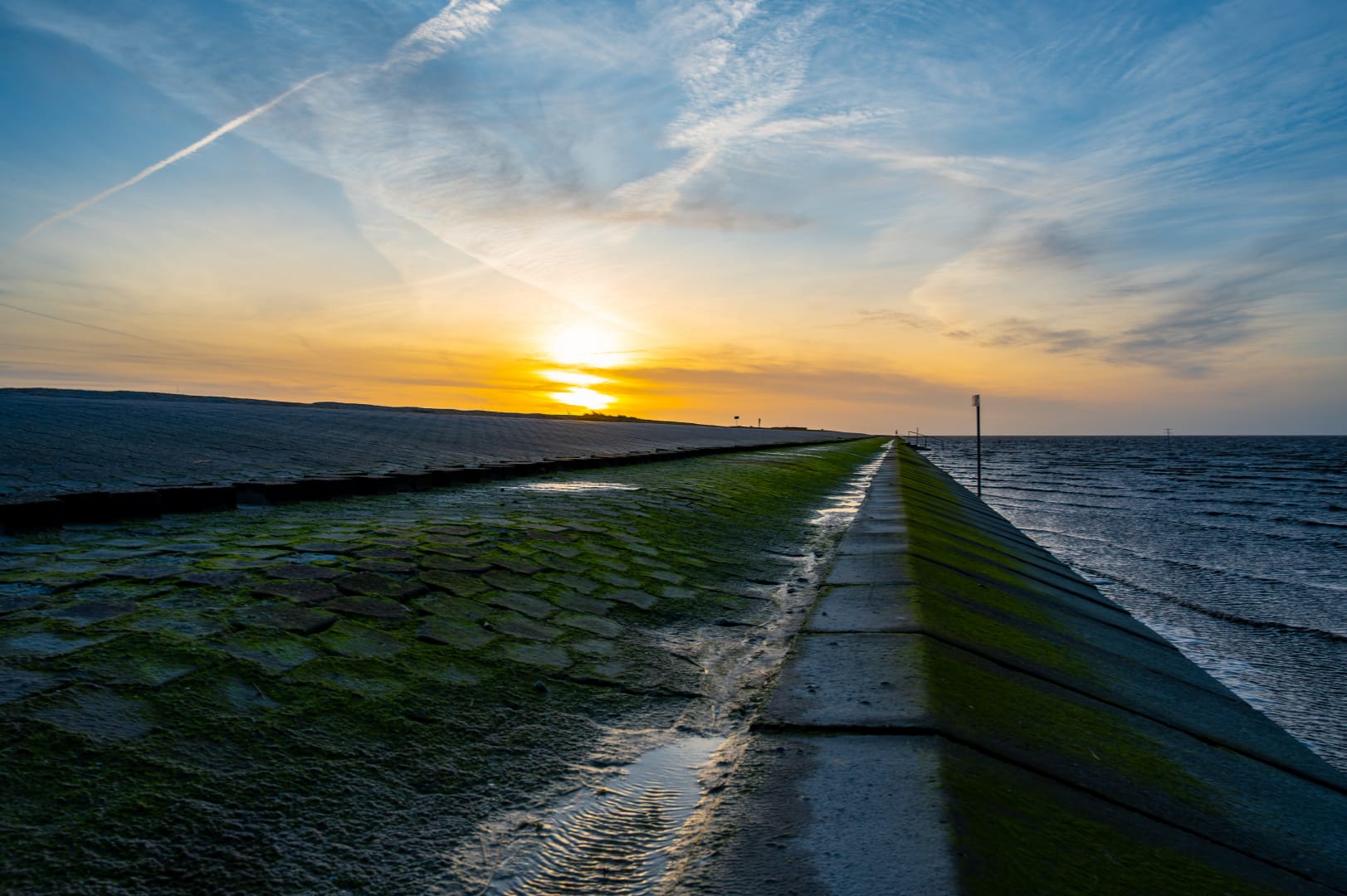 DSC_5973-Verbessert-RR