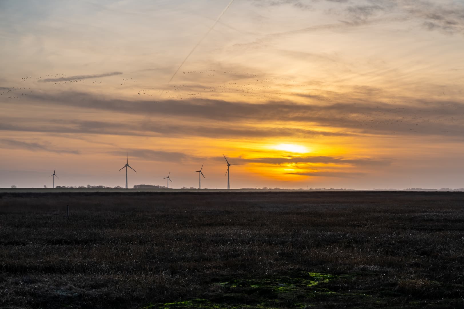 DSC_6008-Verbessert-RR