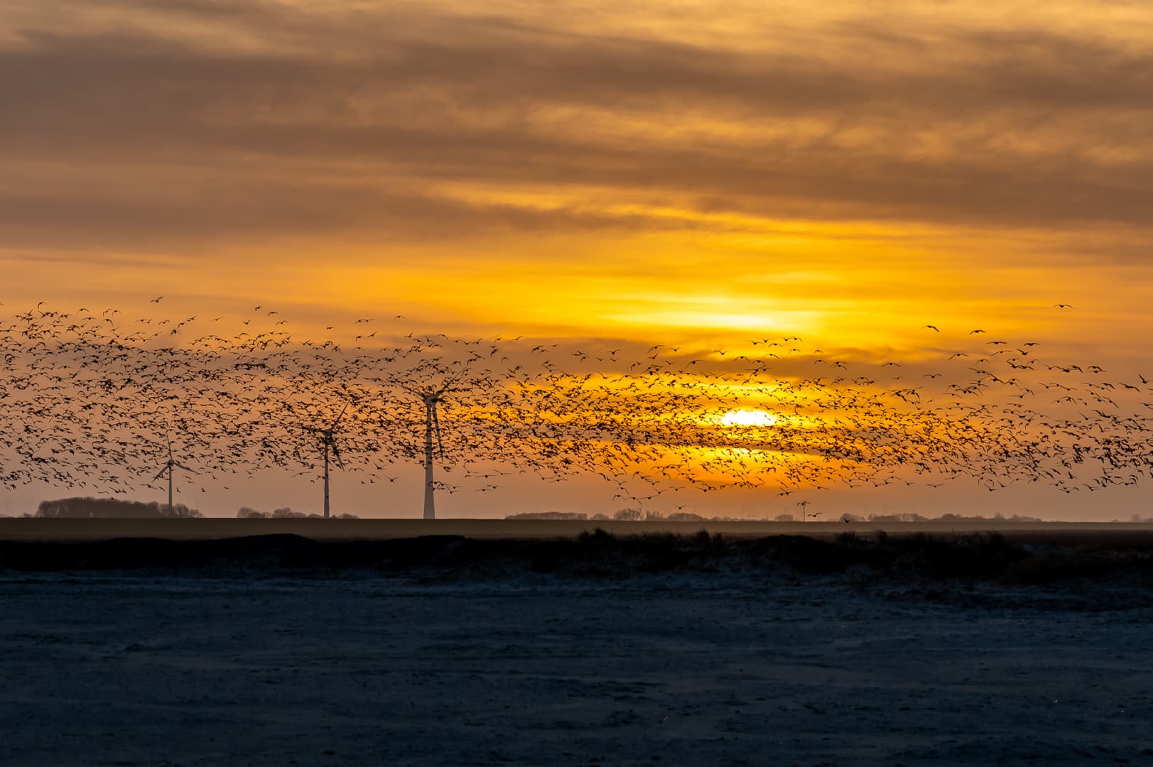 DSC_6018-Verbessert-RR