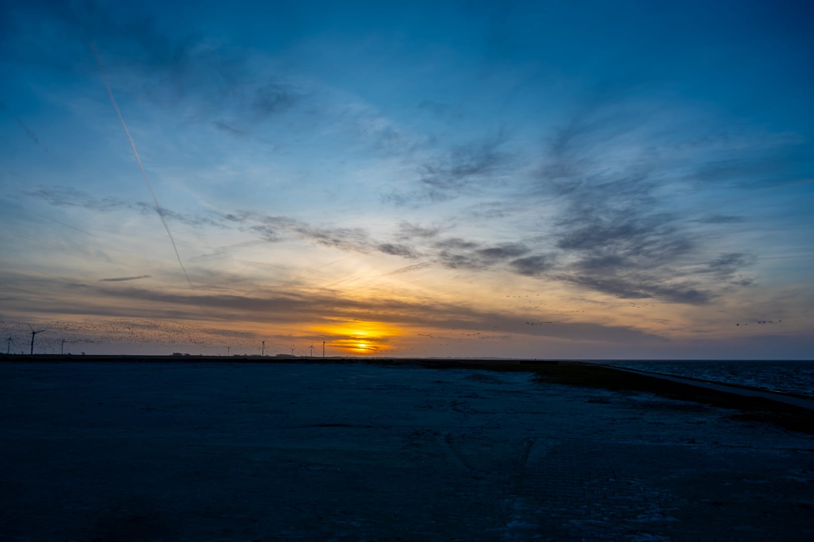 DSC_6032-Verbessert-RR