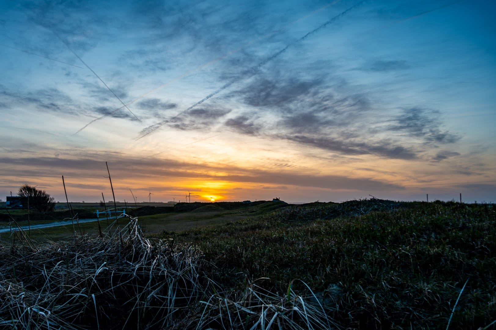 DSC_6046-Verbessert-RR