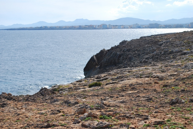 Cala Millor Strand und Punta de n Amer 45